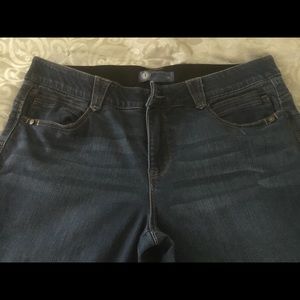 Democracy- “Ab-solution” jeans
